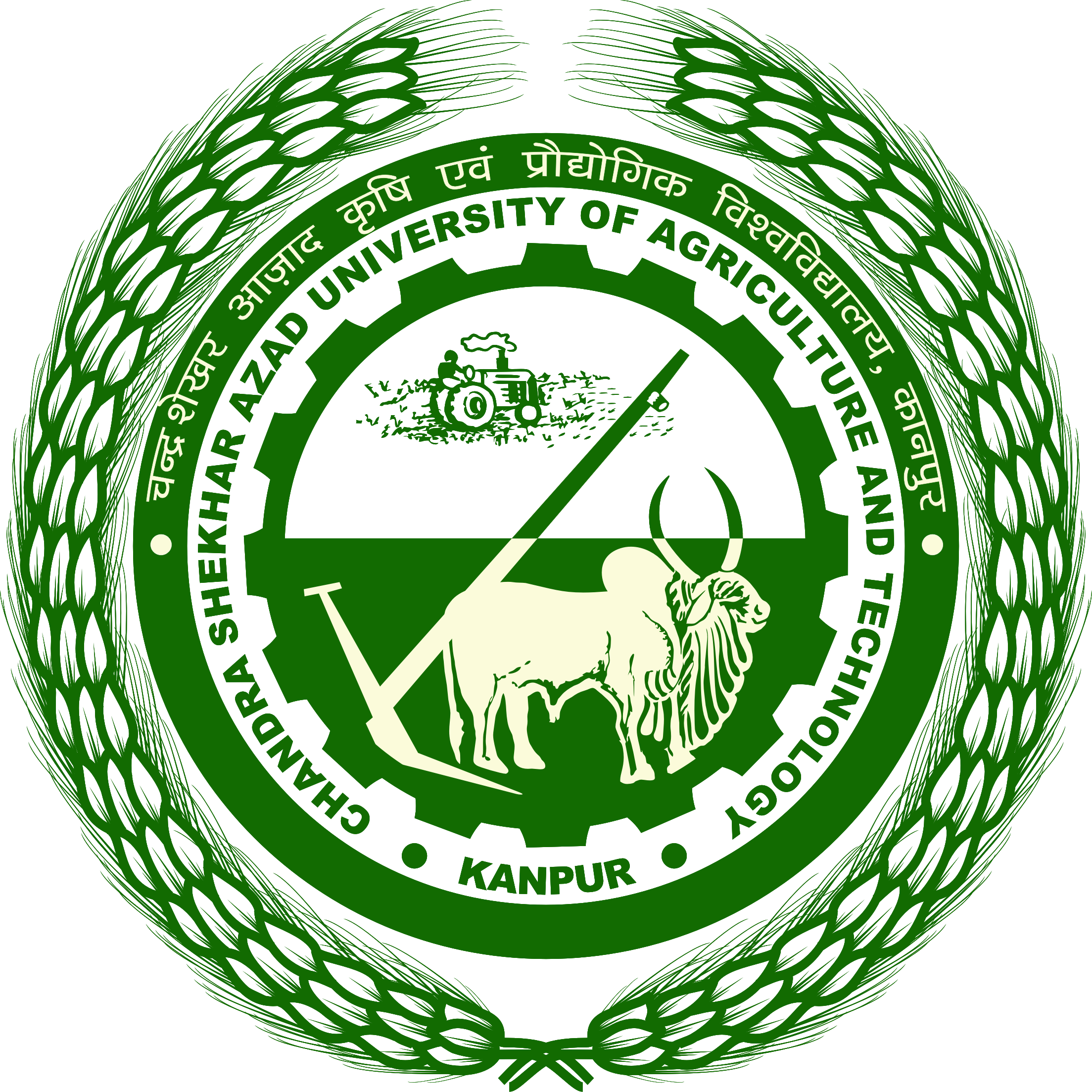 CSA University Logo